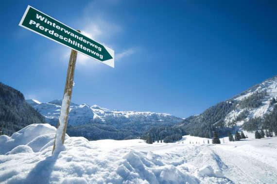 Pferdeschlittenfahrten im Winterurlaub in Obertauern, Salzburger Land